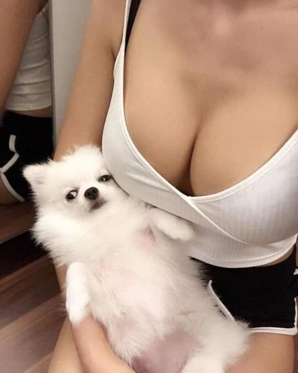 酥胸半露，小狗依偎，令人心动的瞬间 A halfexposed breast,