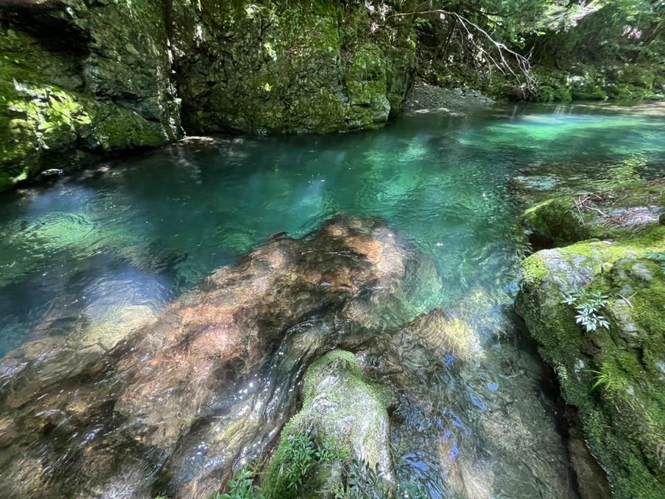 幕天席地大自然中的和谐露出 The harmony in nature is r