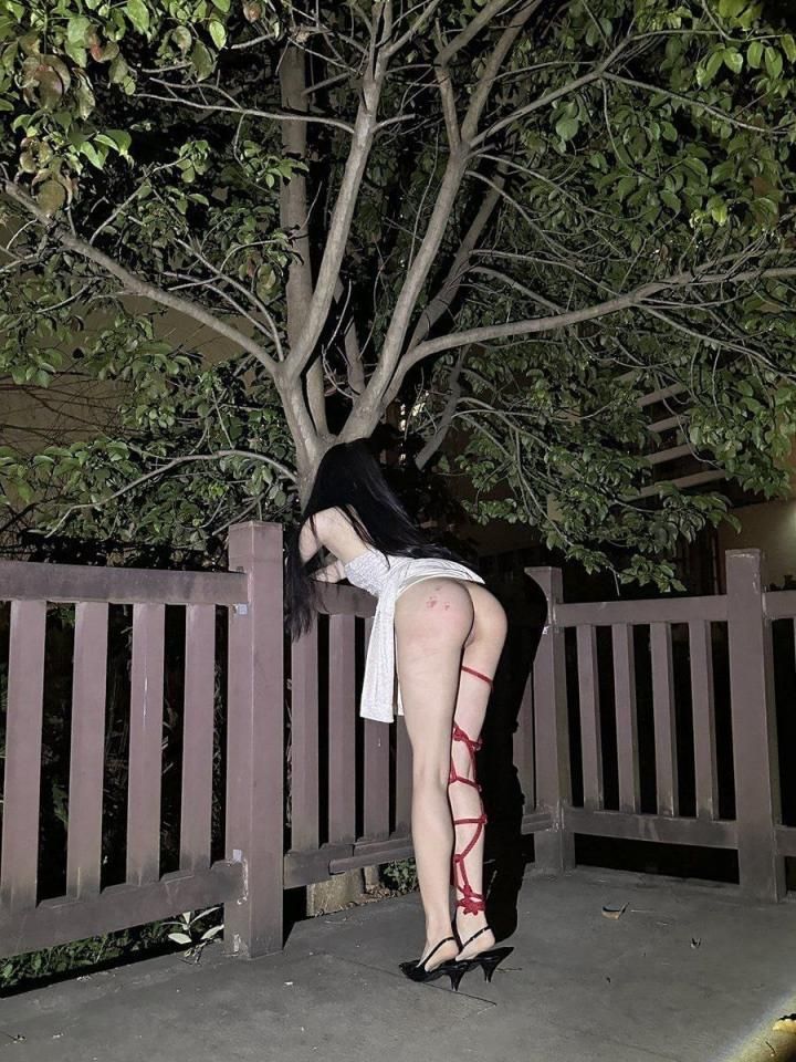 小母狗调教不能停（2） The little bitch training ca