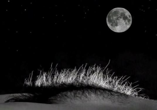 亚洲美女，全漏点，二漏点，漏点 Asian beauty, full  poi