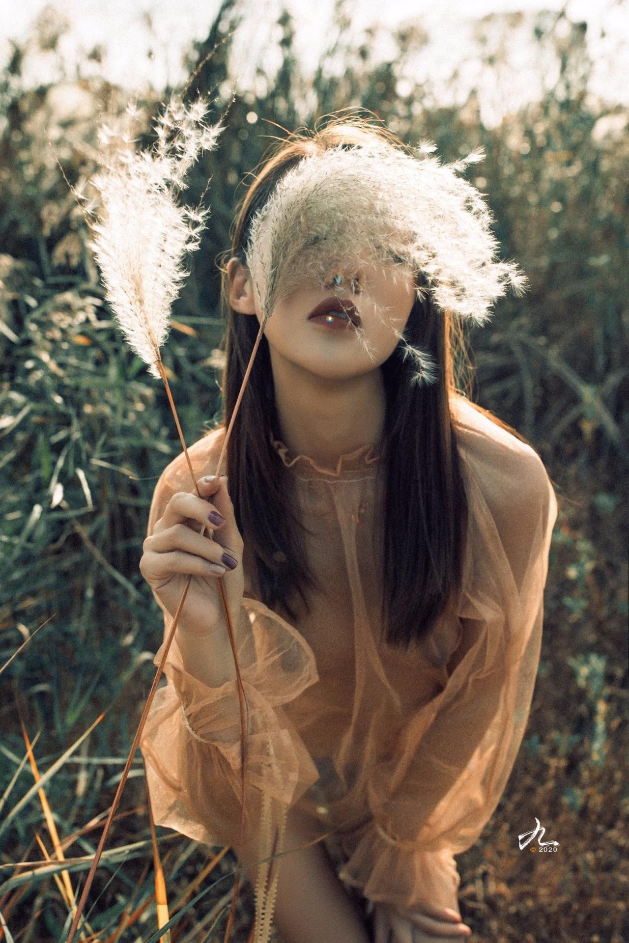 野地里一朵桀骜不驯的小花 An unruly little flower in