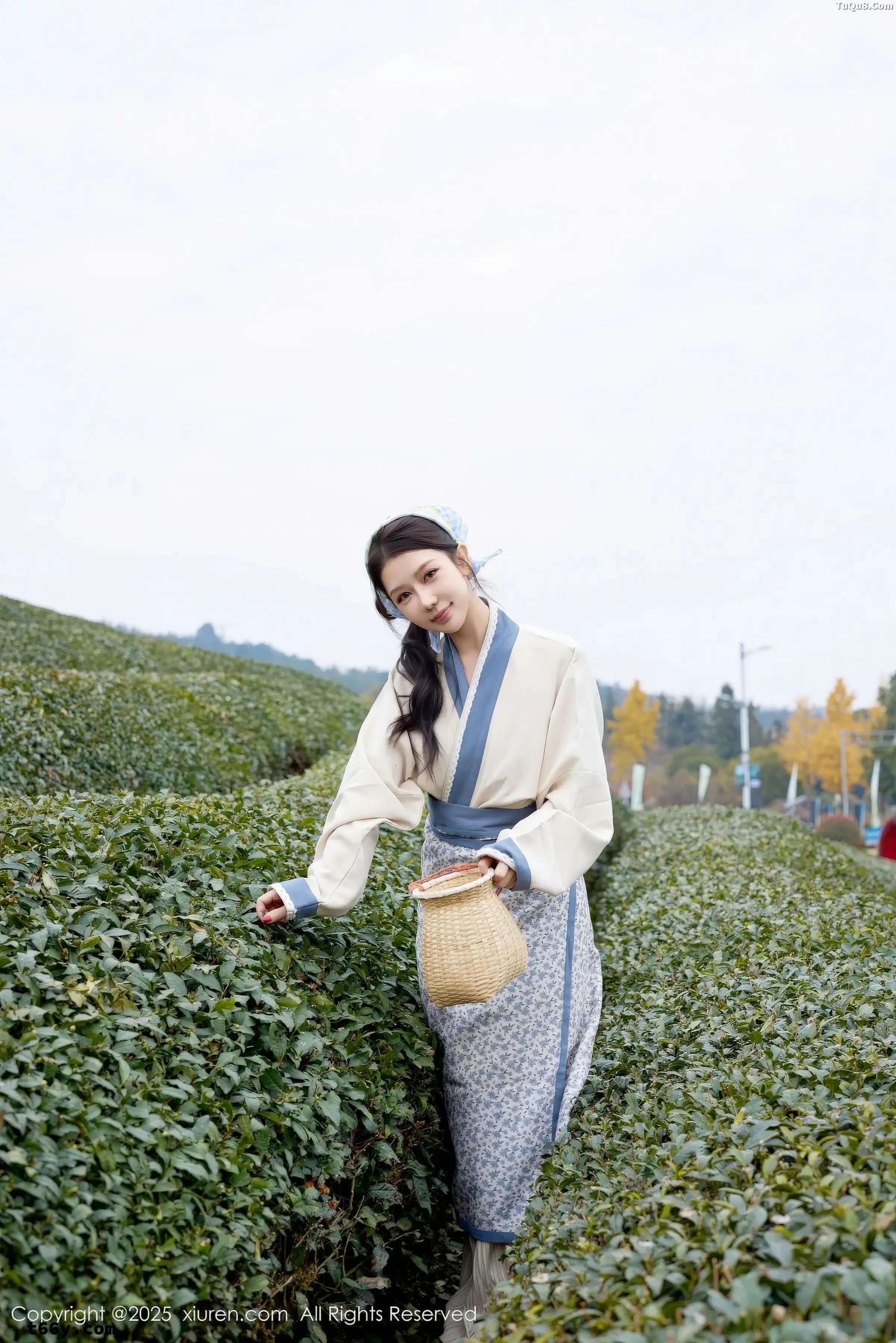 茶香少女 Tea girl