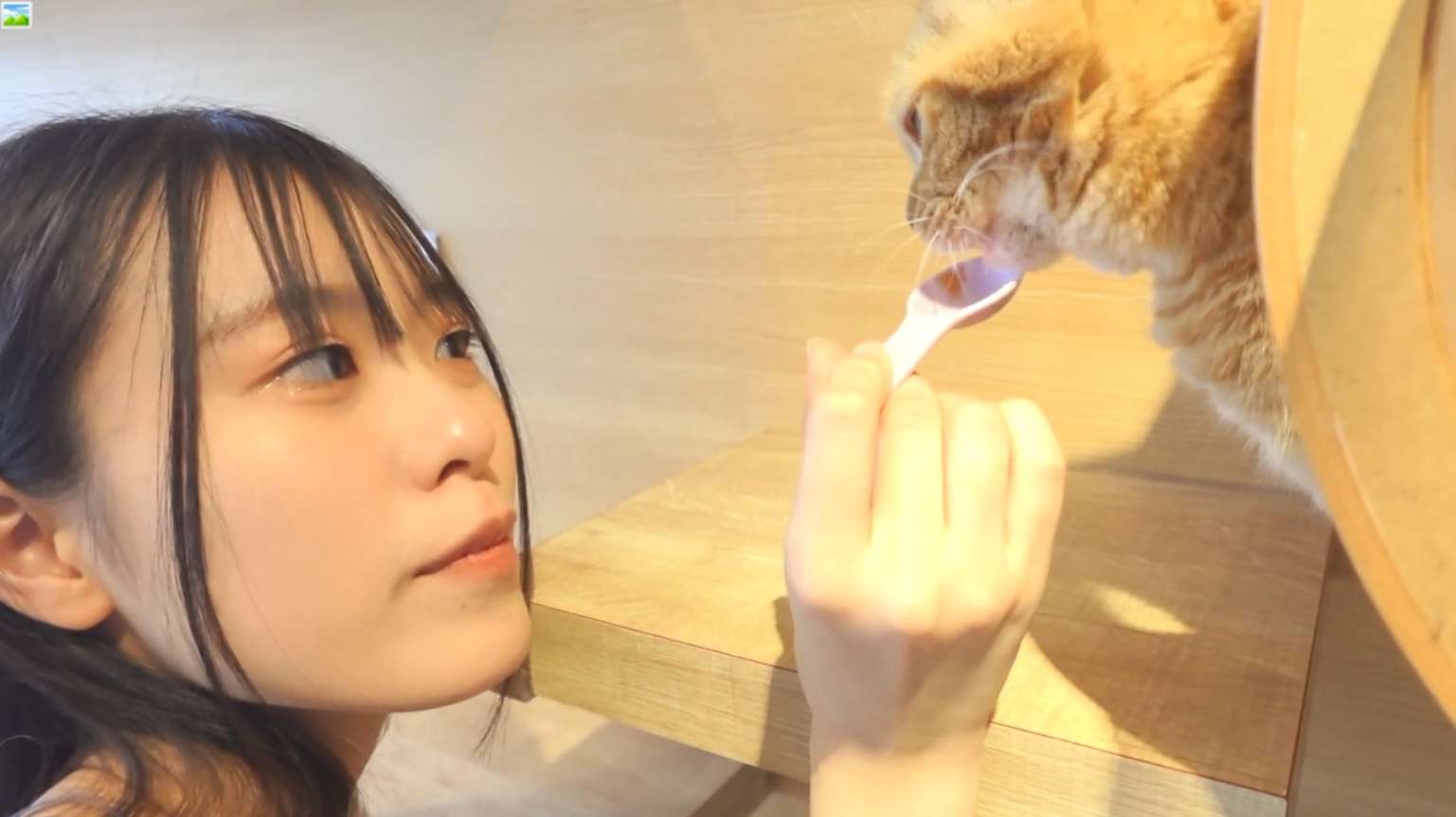 知性娇羞温柔美女小姐姐援交✅阴毛性感花心红润 Intellectual, shy, gentle and beautiful young lady, compensated dating ✅ sexy and rosy pubic hair