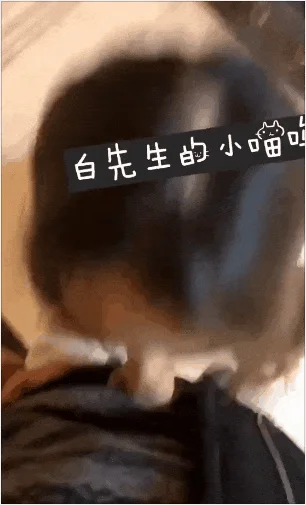 主人的快乐，你永远不会懂 You will never understand the master&rsquo;s happiness