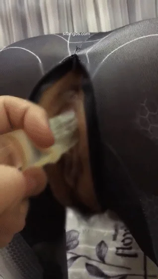 00后身材都这么爆炸 性欲都这么旺盛了吗？差一点就直接操喷的学妹 The post00s have such explosive figures. Are all sexual desire so strong？ I almost fucked the school girl directly