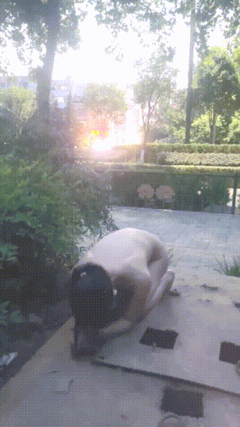 户外天体裸行 羞耻尿尿 各种反差行为 Outdoor celestial nud