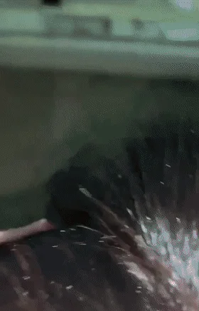 白嫩无毛小嫩穴 看起来挺文静私下骚出水 一插进来秒变小荡妇！ She has a