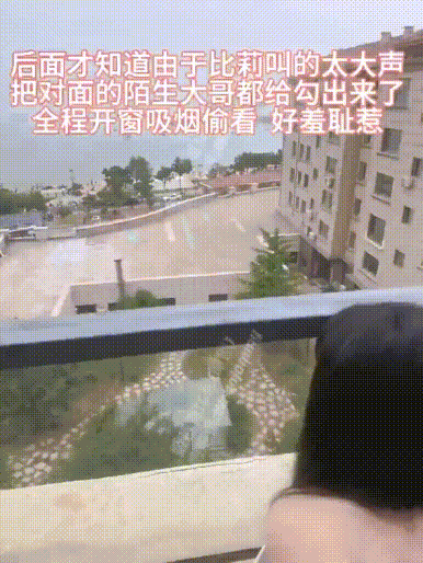 网红超美气质反差婊『咬一』 双视角 土豪专属视角欣赏！ Internet cel