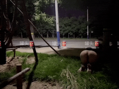 找单男，喜欢影院勾引，KTV醉酒玩法，前凸后翘大奶粉穴！ Looking for