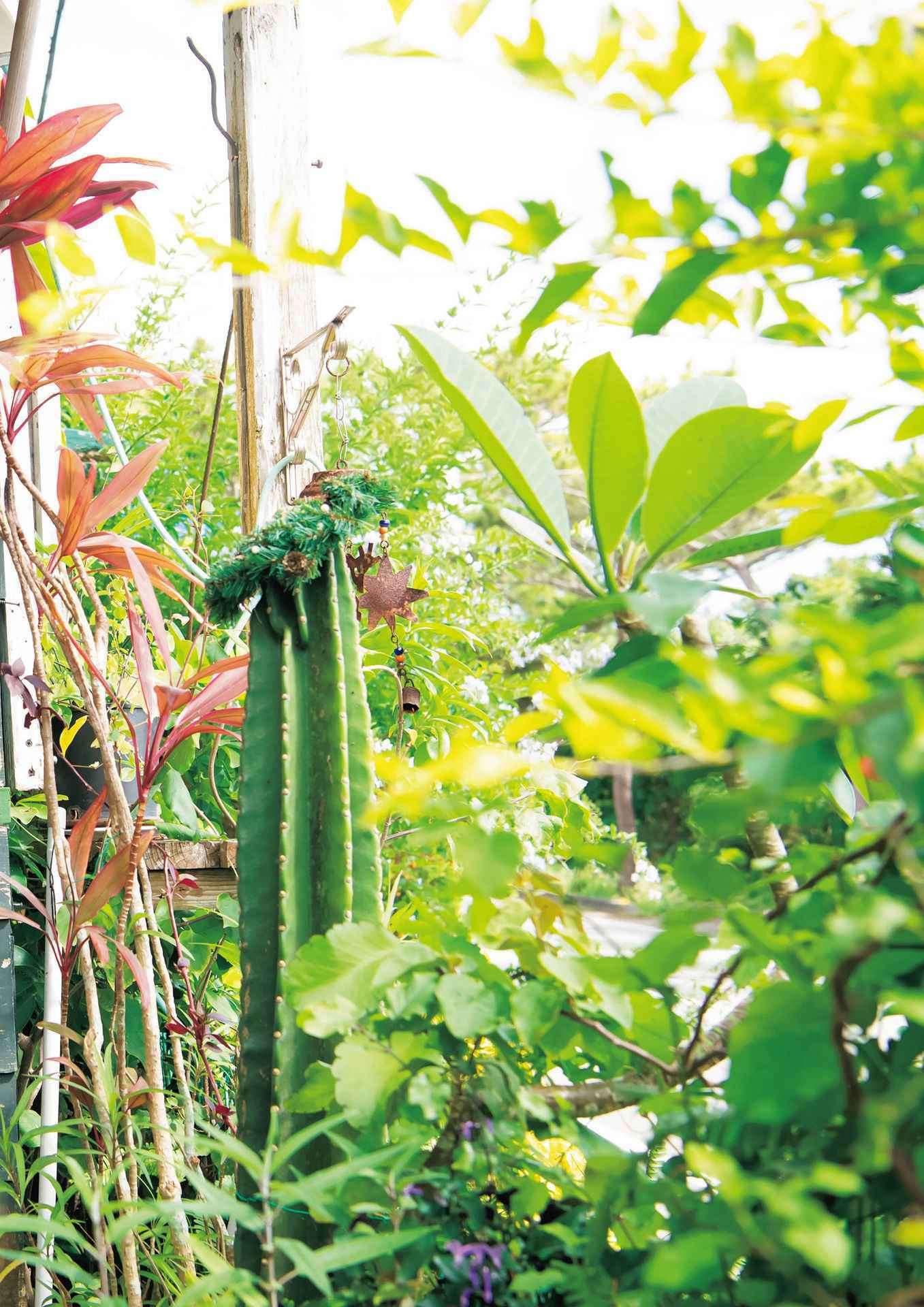 凉森れむ 写真合集2021.08.06 凉森れむ 写真集 「R&rsquo;」 Ryoumori photo collection 2021.08.06 Ryomori photo album &ldquo;R&rsquo;&rdquo;