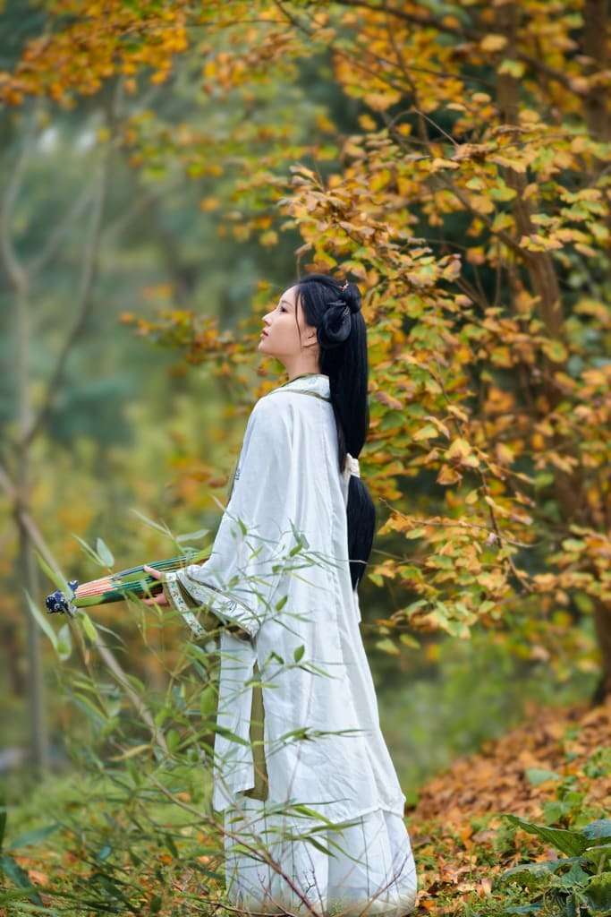 年年《秋兮》 "Autumn" every year