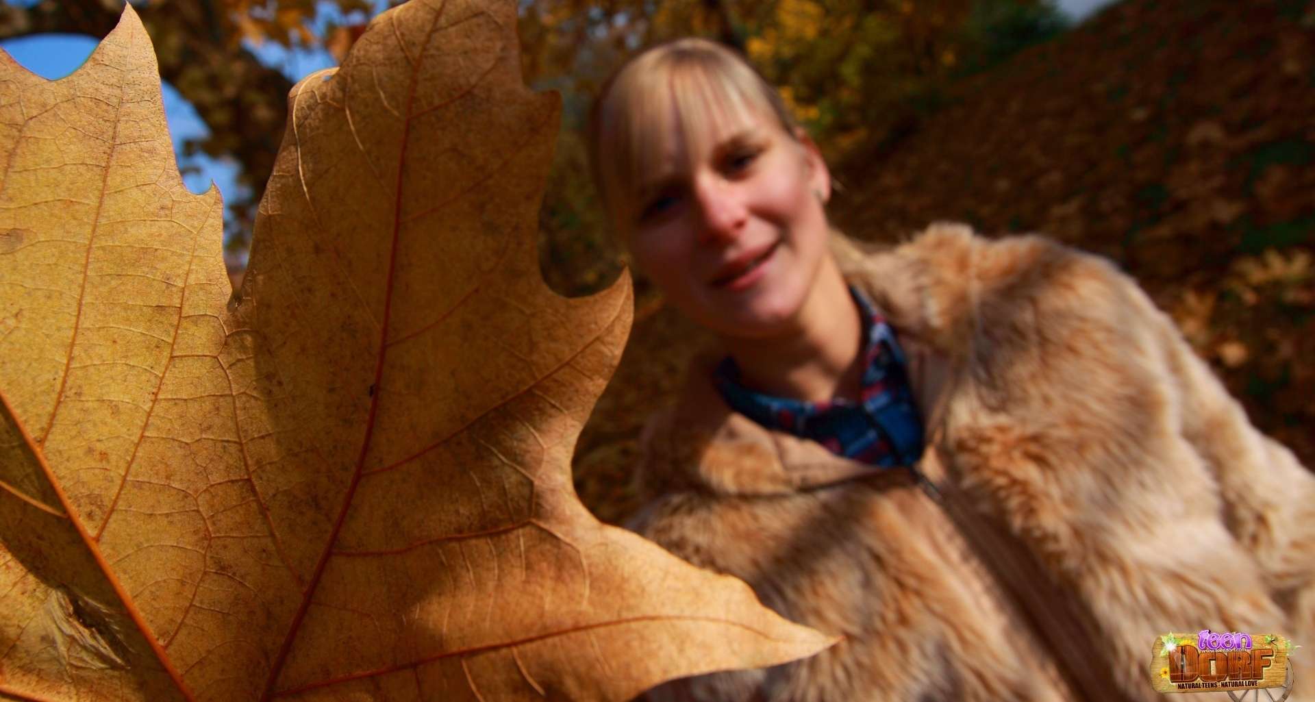 枫叶飘落情侣漫步 Couple walking with falling maple leaves