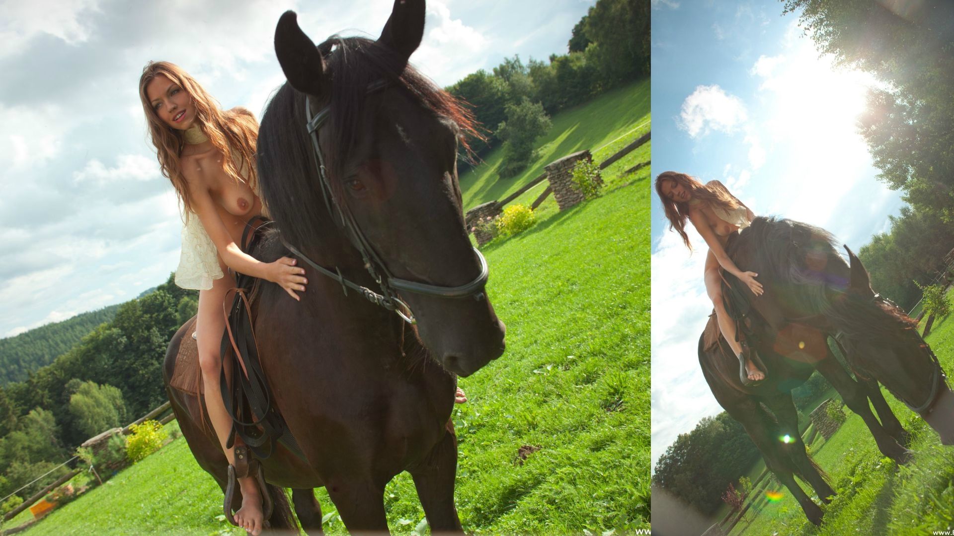 绿野山庄汗血宝马 Green Field Villa sweat and blo