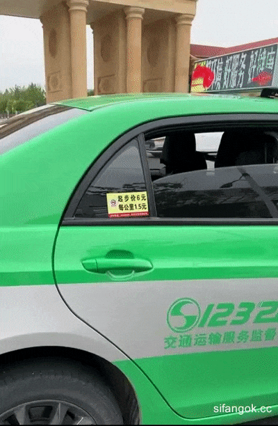 精彩动态图  主人给的任务，少女全裸坐出租车换衣服，司机震惊了 Wonderfu