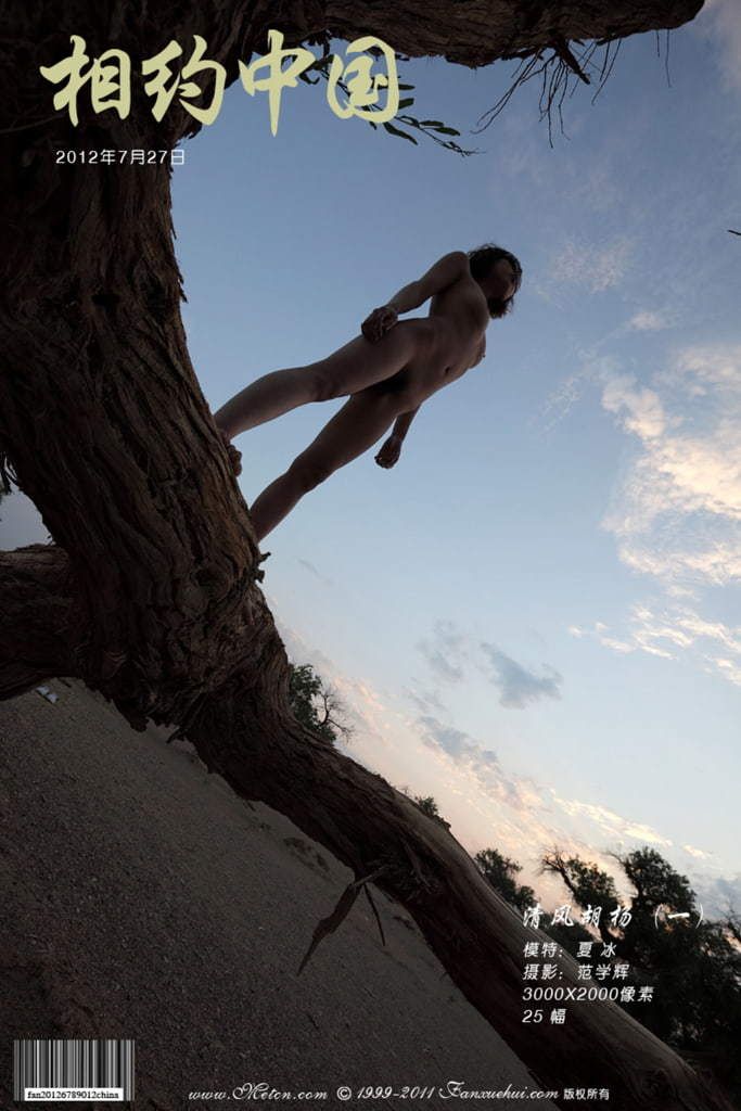 【相约中国】夏冰《清风胡杨 1》