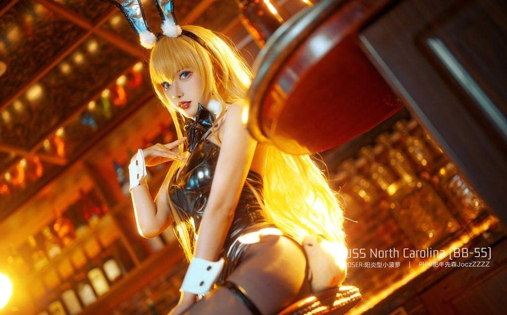 阳炎型小菠萝  北卡罗来纳 Small sunshaped pineapple  North Carolina