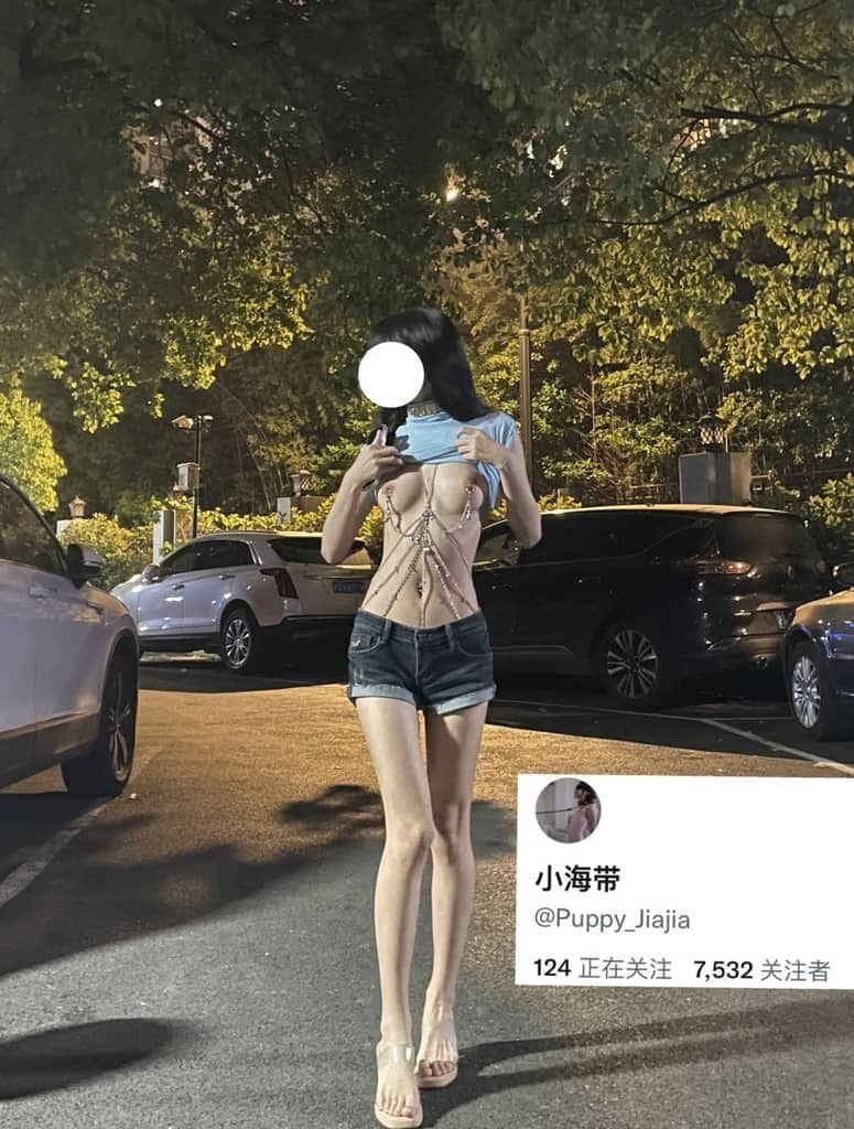 推特萝莉少女合集 小海带@Puppy_Jiajia Twitter  Girl