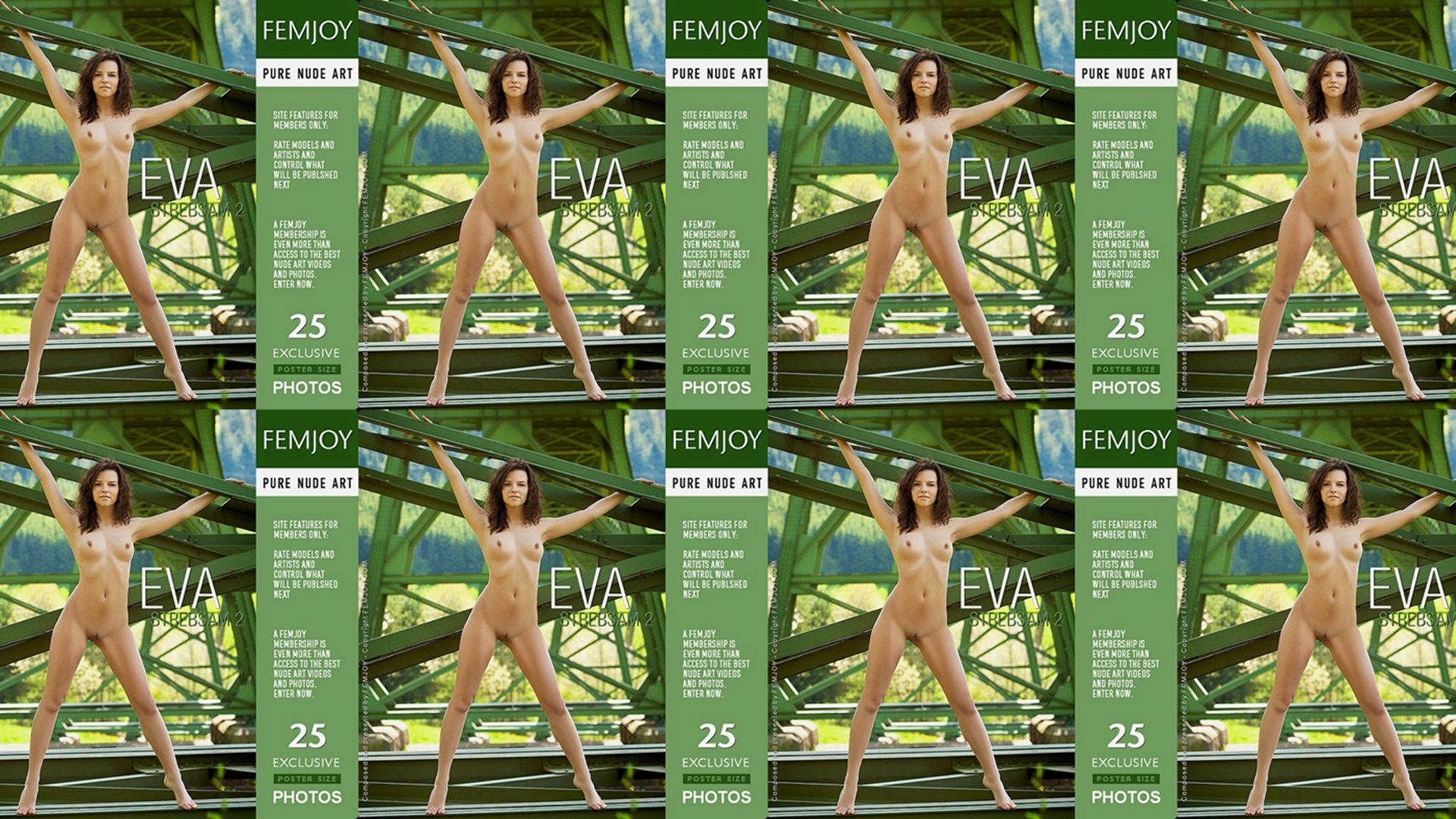 纵横交错绿郁葱葱 Climbing green onions