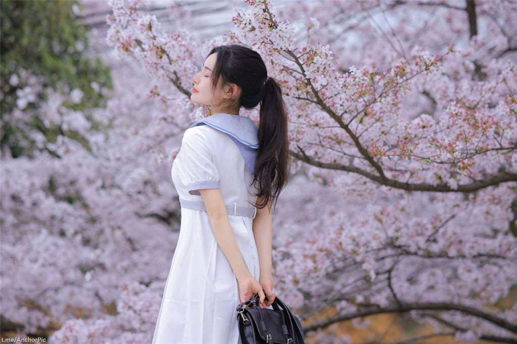 桃暖酱《在去学校的路上》 Tao Nuanjiang "On the way to school"