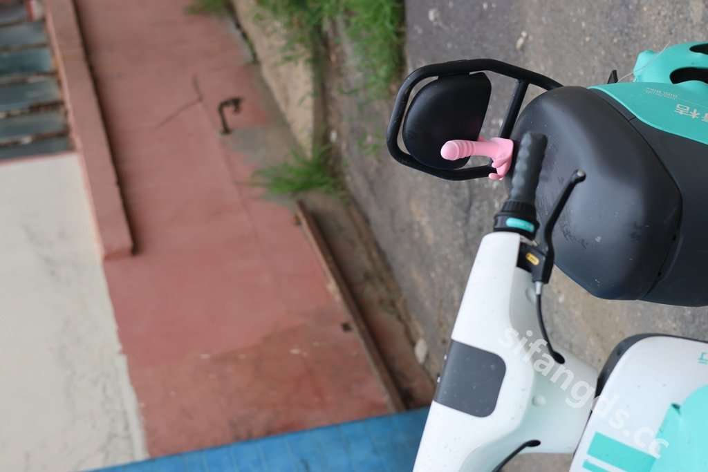 【私购流出】小薯条nienie《私购流出》（9024） [Private purchase leaked] Xiaofries nienie "Private purchase leaked" (9024)