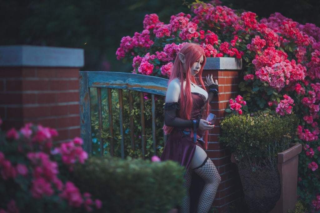 VIP从从从从鸾  约克公爵 VIPCong Cong Cong Luan  Duke of York