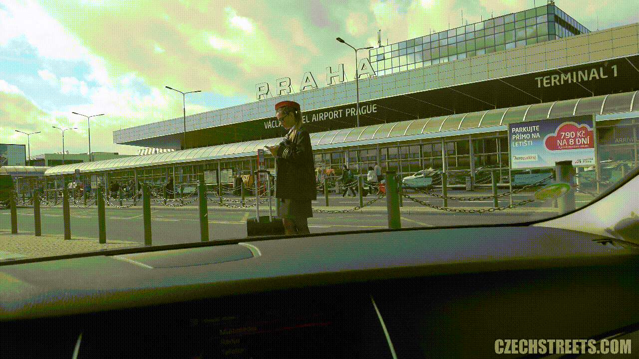 好看的动态图(续二千八百零七十一）（金钱搭讪刚下班空姐，吃鸡内射） Goodlo