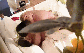 丰满肥臀韵味少妇和她的花臂猛男炮友 A plump young woman with fat buttocks and her sexy hunk friend