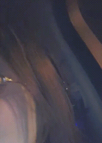 约炮老公不在家的极品少妇 各种姿势玩她的小嫩B Hook up with a h