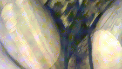 单位的熟女会计换上豹纹内衣 黑丝猛操她 The mature accountan