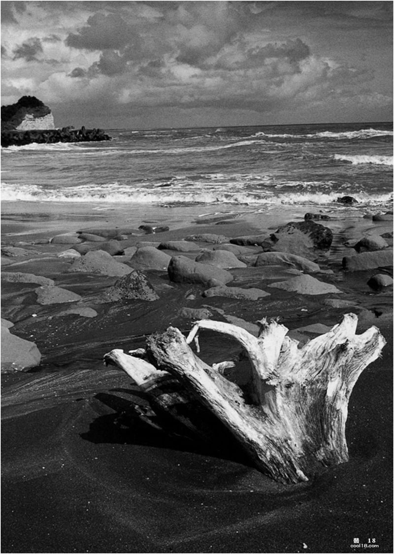 荻野目庆子《Accidents Series 2》(199 Oginome Keiko "Accidents Series 2" (199