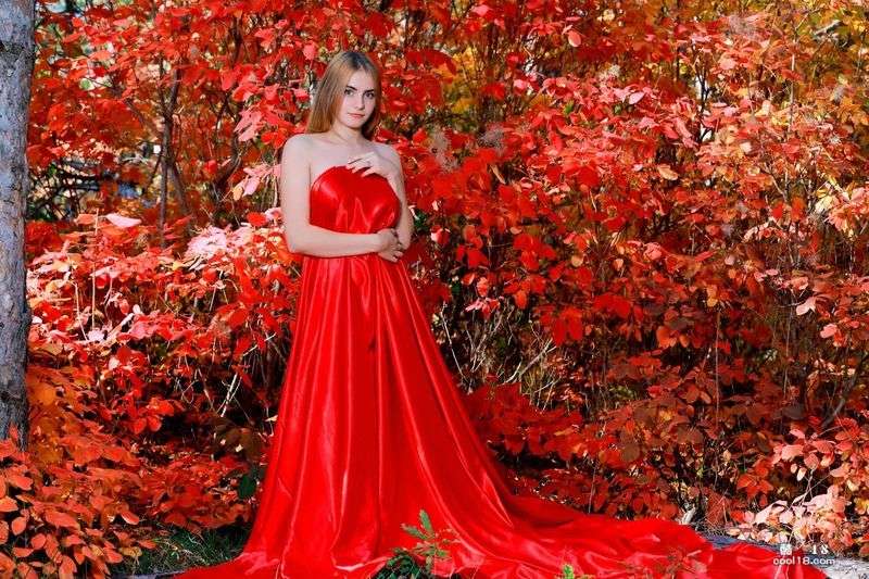 Dakota Pink  Blooms Dakota Pink  Blooms