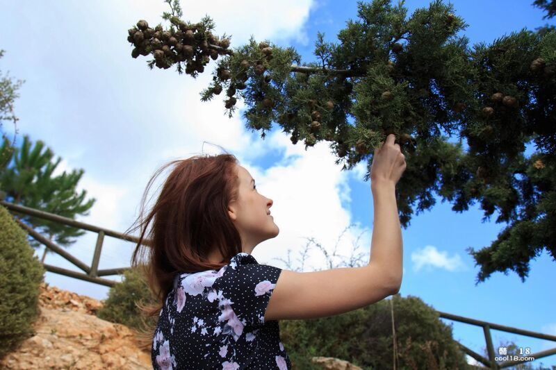 Alice May  Afternoon Date Alice May  Afternoon Date