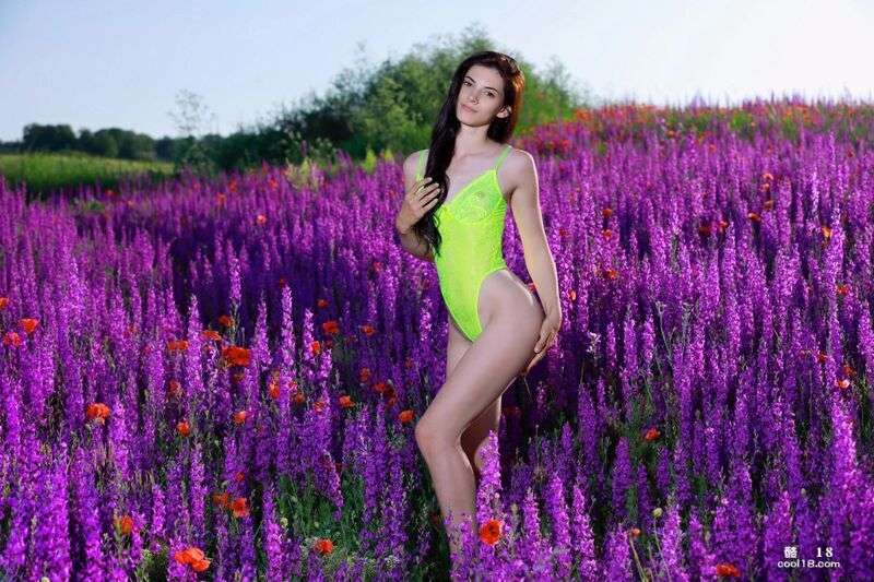 Aleksandrina  Spring Vibes ( Aleksandrina  Spring Vibes (