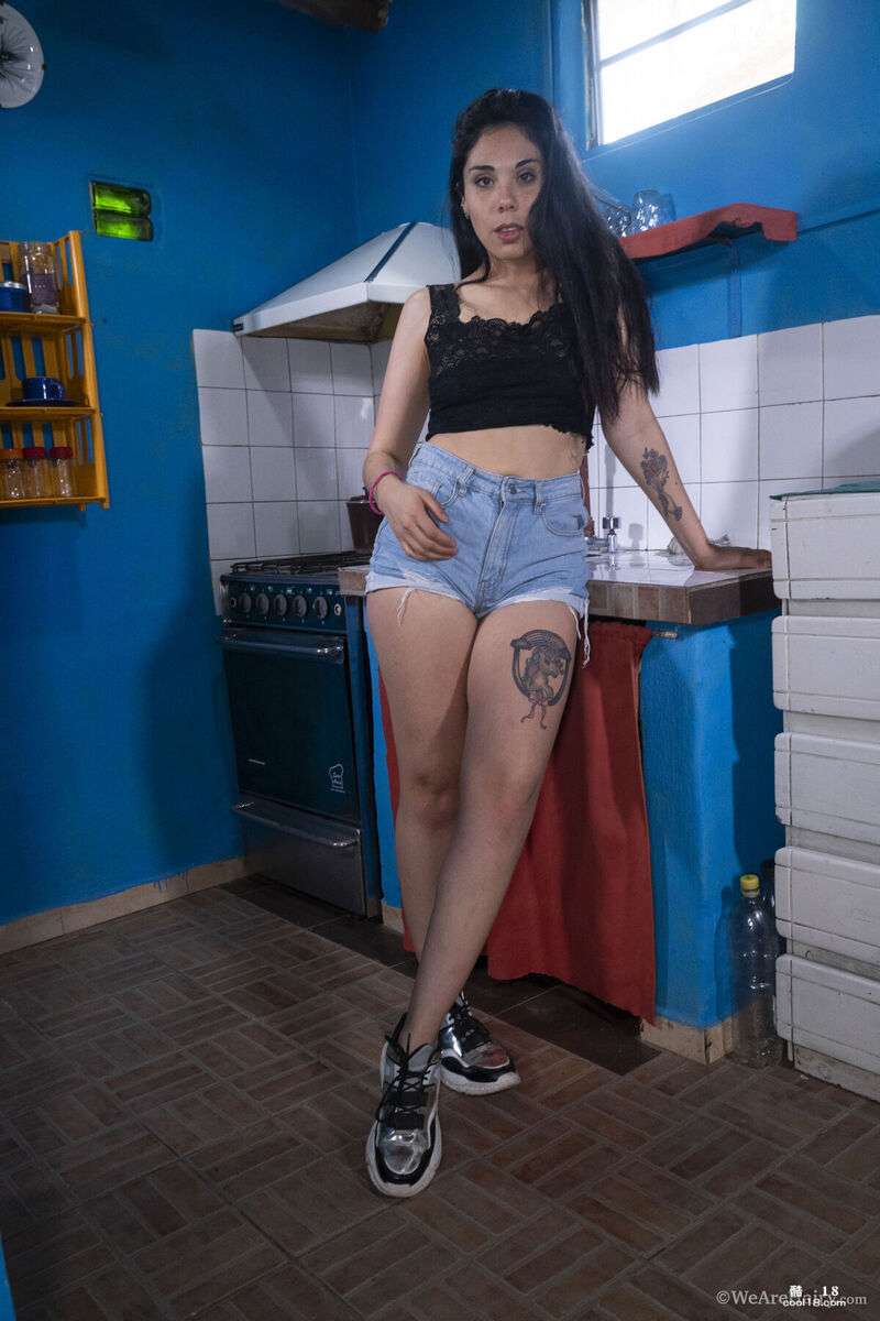 她那浓密的阴毛正在抢走风头。她完全躺在柜台上，毫无顾忌地炫耀着自己的裸体 Her thick pubic hair is stealing the show. She lay completely on the counter showing off her naked body without any scruples