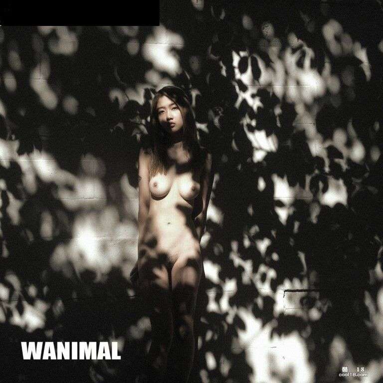 WANIMAL_合集9  WANIMAL_Collection 9