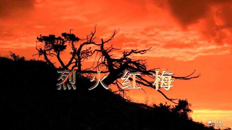 国产SM剧情《烈火红梅》地下交通员江咏梅被国民党特务严刑拷打 Domestic SM drama "Fire Red Plum" underground traffic officer Jiang Yongmei was tortured by Kuomintang agents