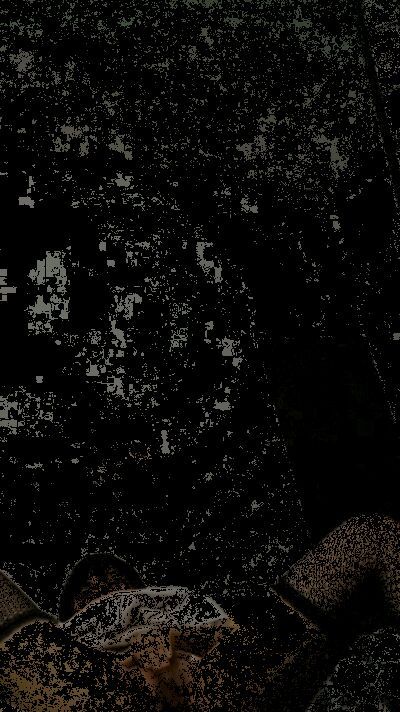 商场露出紫薇 Lagerstroemia exposed in shopping