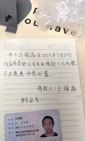 【某某门事件】哈尔滨精神小妹王相淼 裸贷跑路反骗贷款公司 私拍视频被曝光！ [A