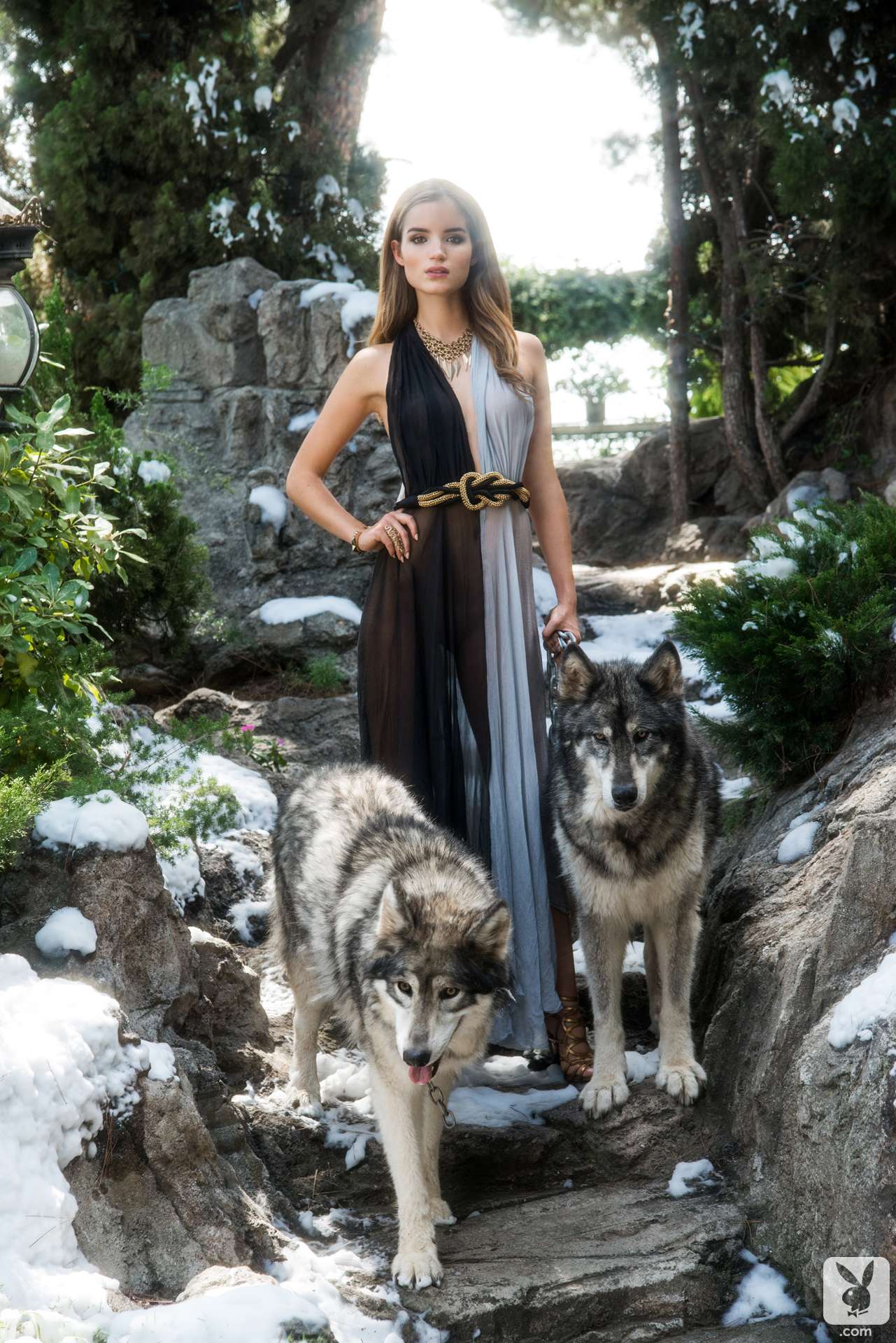 Faithe Lyly Faithe Lyly