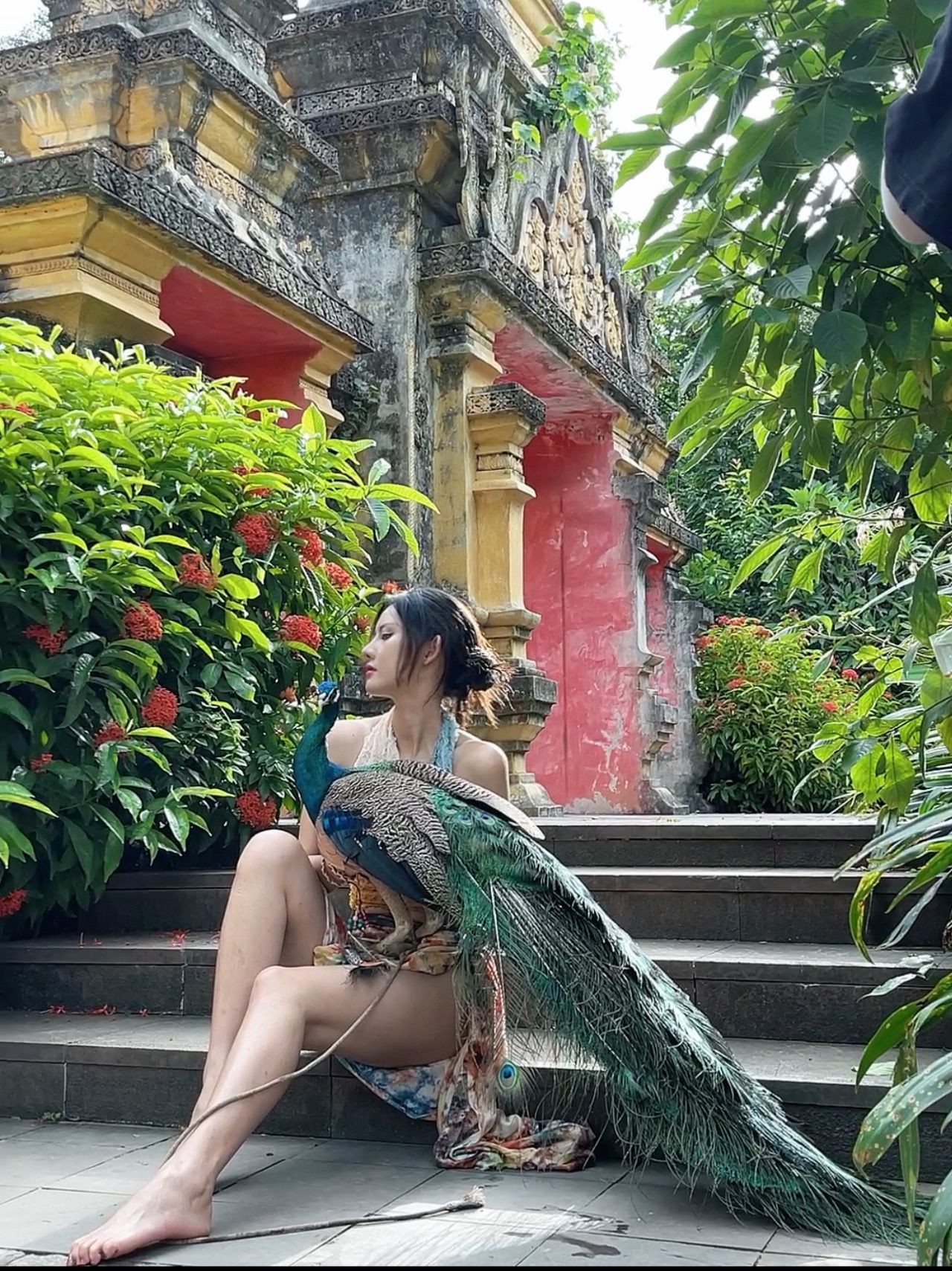 阿朱与孔雀的秘密：古刹魅影，丝袜美腿，一场禁忌的诱惑 The Secret of