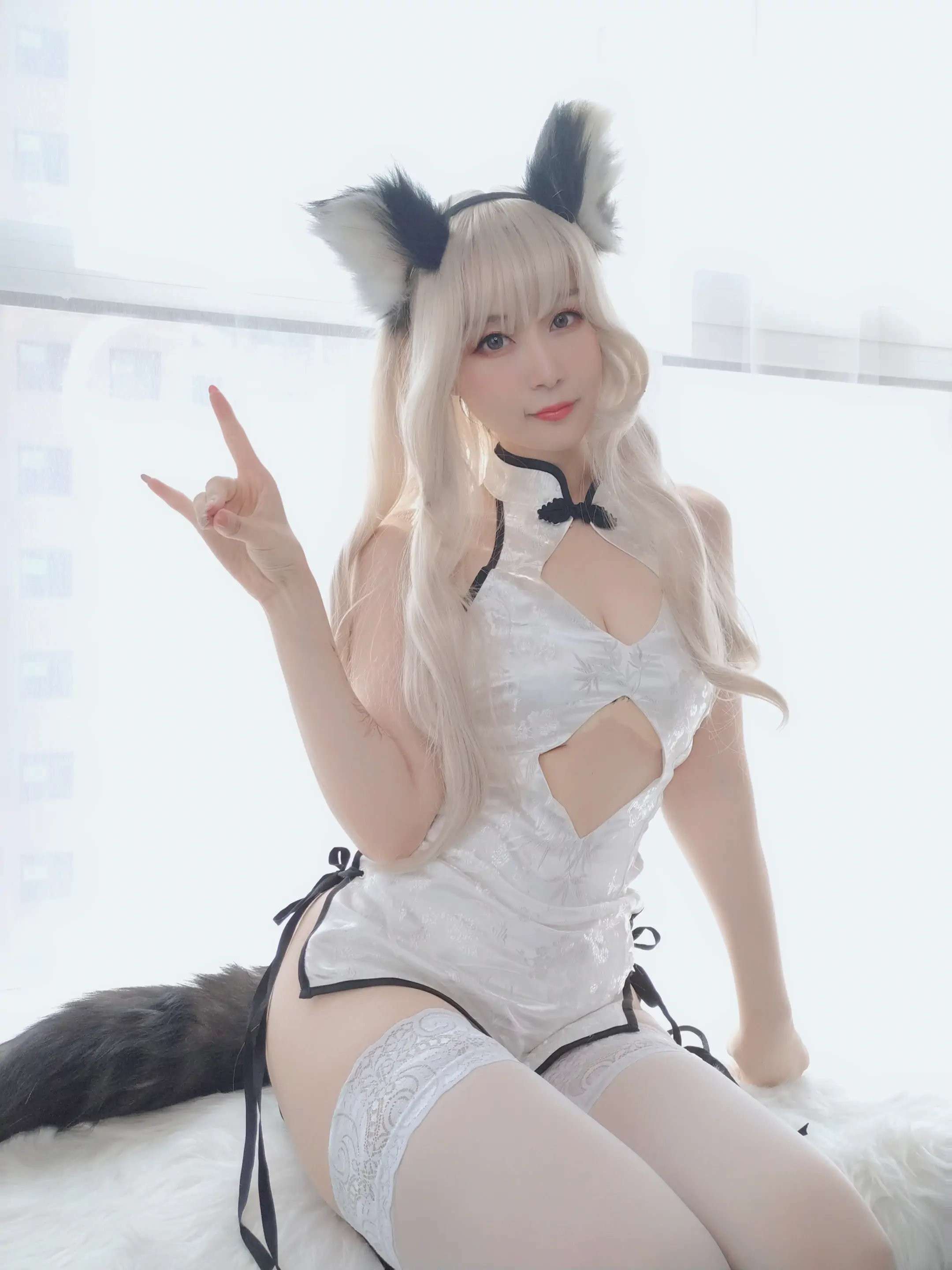 小白狼 little white wolf