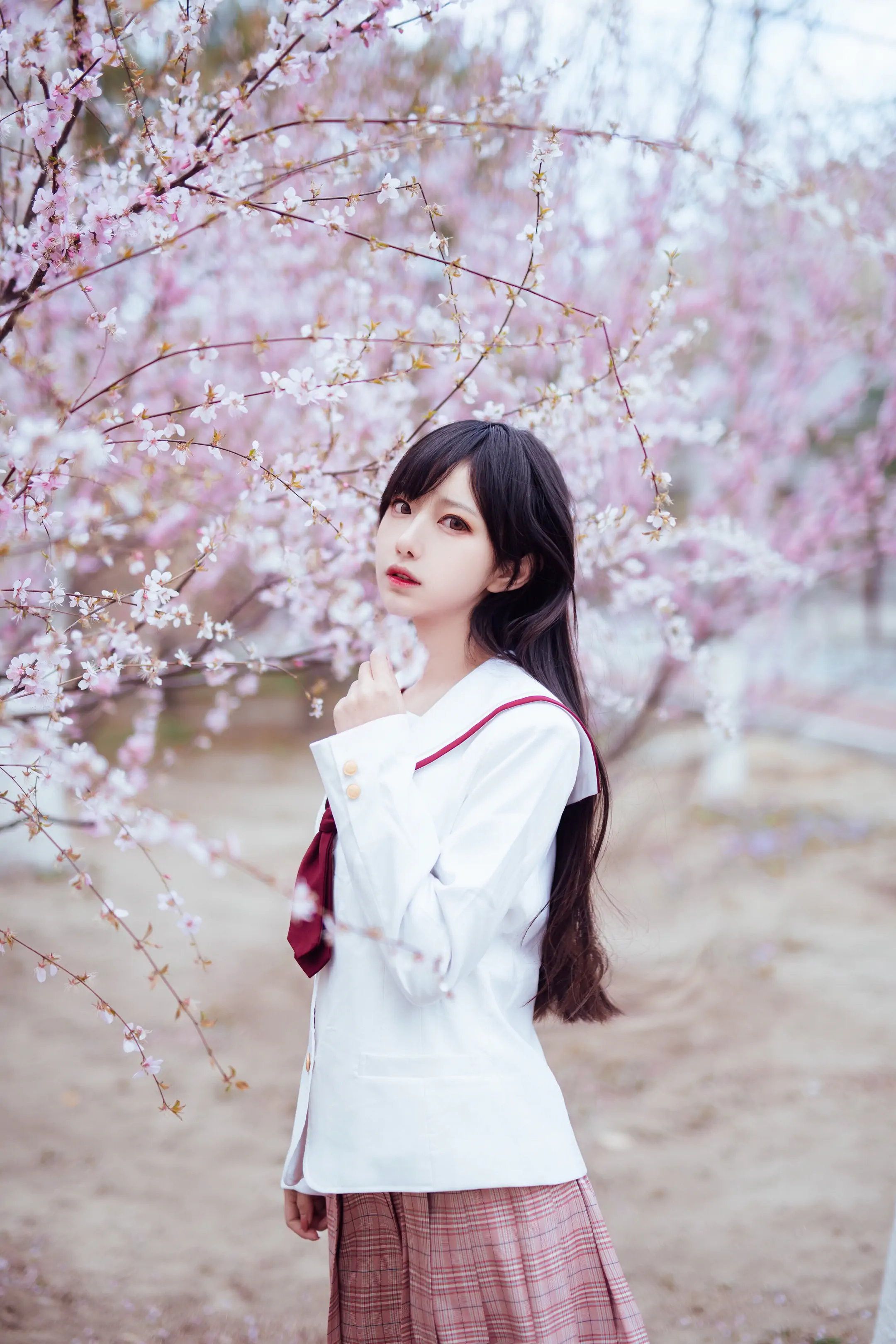 樱花妹 Sakura girl