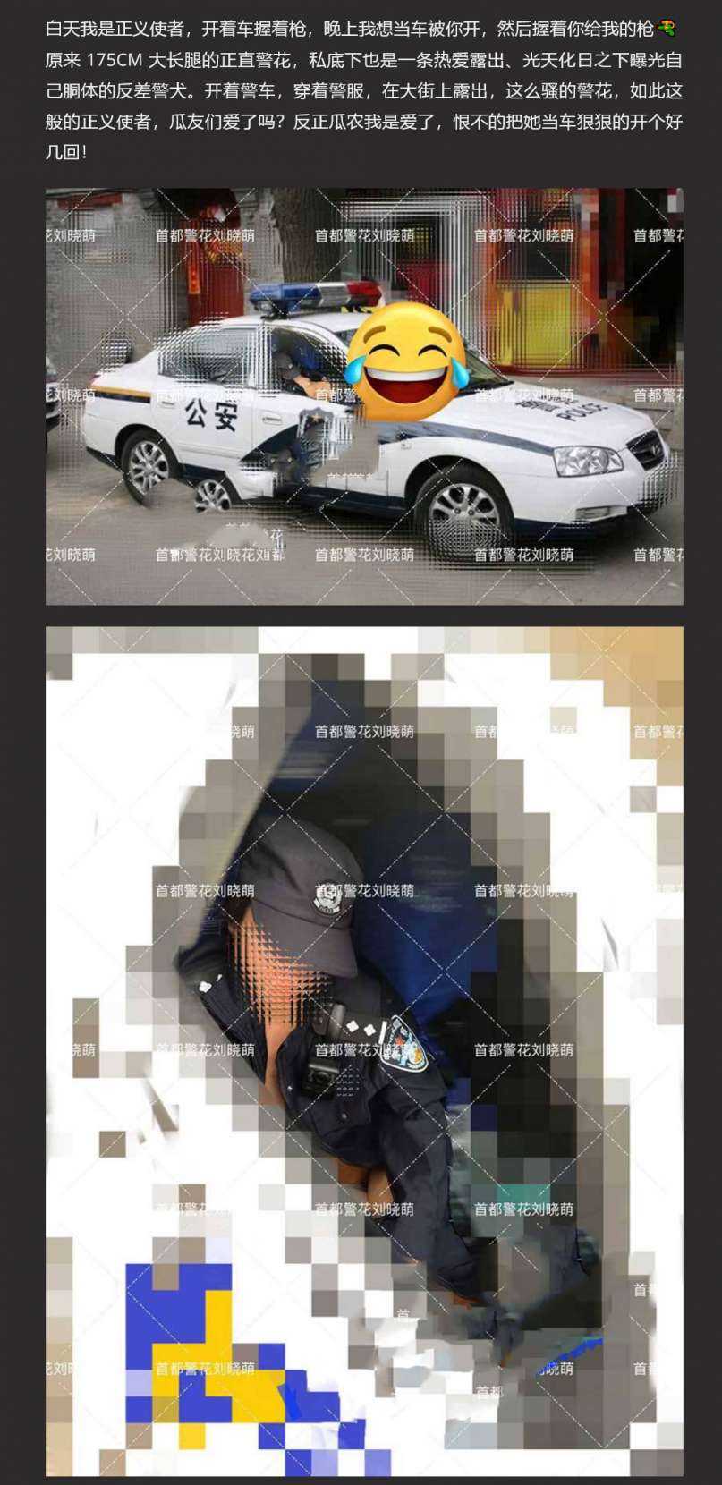 正义警犬 极品反差婊曝光 Justice police dog, the ultimate contrast bitch exposed