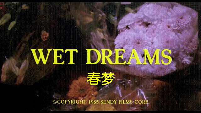 精彩动态图  欧美早期无码四级片《春梦》《高潮》 Wonderful dynam