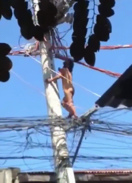 精彩动态图 【国外猎奇】印度女子全裸触电 喝恒河水后自称刀枪不入烈焰战神 Won